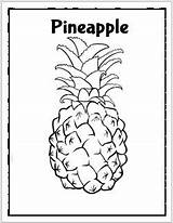 Pineapple Coloring Printable Englishbix sketch template