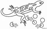 Lizard Gecko Cicak Mewarnai Eidechse Colouring Printable Lizards Ausmalbilder Eidechsen Cool2bkids Malvorlagen Leopard Draco Crawling Tk Paud Coloringbay sketch template