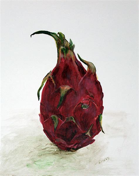 acrylic dragon fruit painting popular century