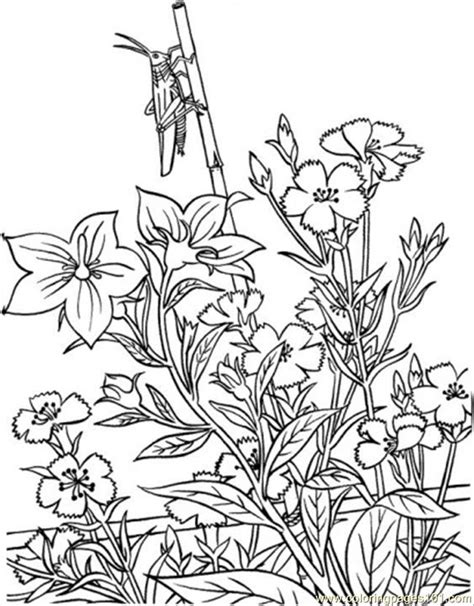 images  adult garden coloring pages printable detailed