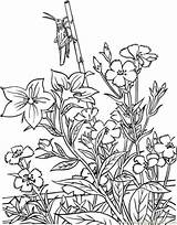 Garden Coloring Pages Printable Adult Detailed Adults Printablee Via sketch template