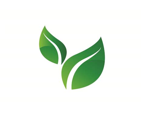 logos  green tree leaf ecology  vector art  vecteezy
