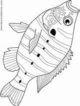 Sunfish Coloring Pages Ocean sketch template