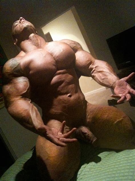 more roided muscle bulls 219 pics xhamster