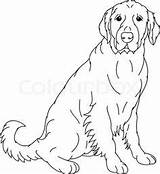 Coloring Retriever Lab Pages Labrador Yellow Dog Golden Printable Line Adult Vector Head Colouring Drawings Drawing Color Dessins Getcolorings Dogs sketch template