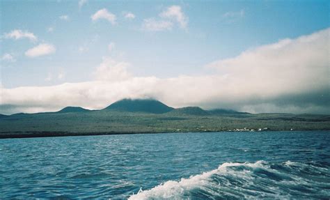 santa maria island galapagos wildlife nature britannica