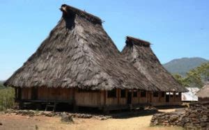gambar rumah adat indonesia asalnya broonet