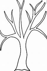 Leaves Cartoon Raskraski дерева без рисунок листьев sketch template