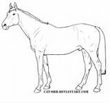 Coloring Horse Pages Eating Saddlebred Color Grass Thoroughbred Drawing Horses Super Printable Version Click Mare American Template Supercoloring sketch template