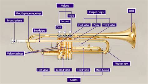 parts   trumpet explained