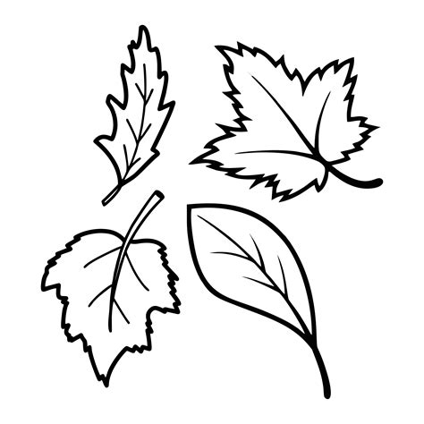 fall leaves worksheets printables     printablee