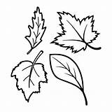 Fall Coloring Leaf Leaves Printables Worksheets Color Printable Autumn Preschool Printablee Numbers Via sketch template