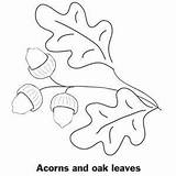 Coloring Leaves Oak Leaf Pages Acorn Thanksgiving Printable Acorns Template Tree Color Printables Stencil Templates Parents Patterns Print Fall Kids sketch template