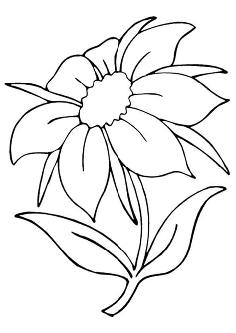 jasmine flower coloring pages