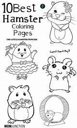Coloring Pages Hamster Printable Hamsters Cute Kids Color Print Baby Colouring Book Sheets Pet Adult Hampster Girl Worksheets Pets Cage sketch template