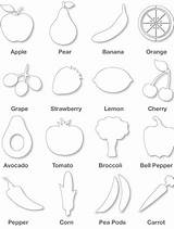 Fruits Vegetables Coloring Kids Fruit Vegetable Printable Outline Worksheets Outlines  Pdf Vocabulary Cartoon sketch template
