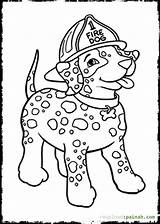 Coloring Dog Fire Dalmatian Dalmation Pages Truck Bone Printable Fireman Color Getcolorings Popular Coloringhome sketch template