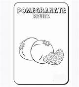 Pomegranate Fruits sketch template