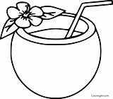 Coconut Coloringall sketch template