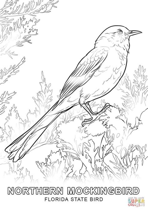 florida state flower coloring page youngandtaecom bird coloring