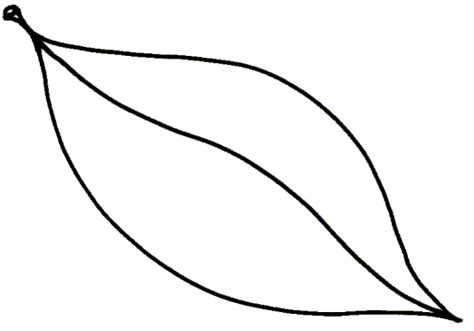 template leaf clipart