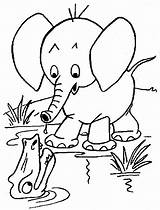 Crocodile Colorat Elefante Elefanti Savana Planse Elefantes Animali Bojanke Animale Dumbo Zivotinje Slonova Bojanje Printanje Elefant Crtezi Crtež Djecu Slonovi sketch template