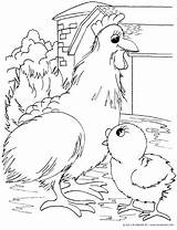 Coloring Hen Pages Farm Chick Kinderart Animals Chicken Baby Pdf Print Duck Size Horses sketch template