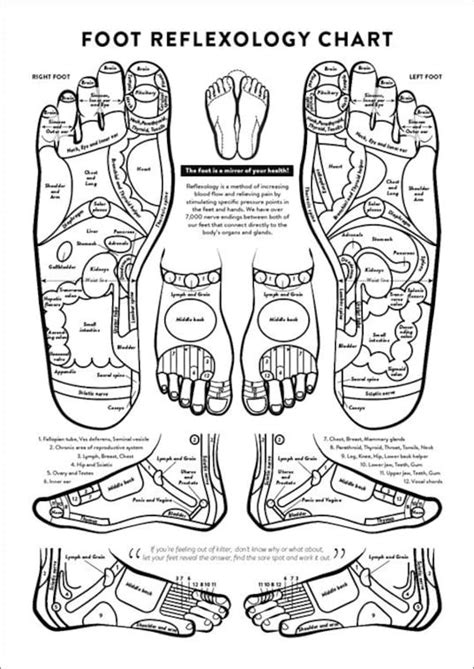 foot reflexology chart printable instant download massage etsy