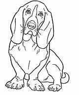Coloring Clifford Dog Big Clipart Sheets Red Library Basset Hound Printable sketch template