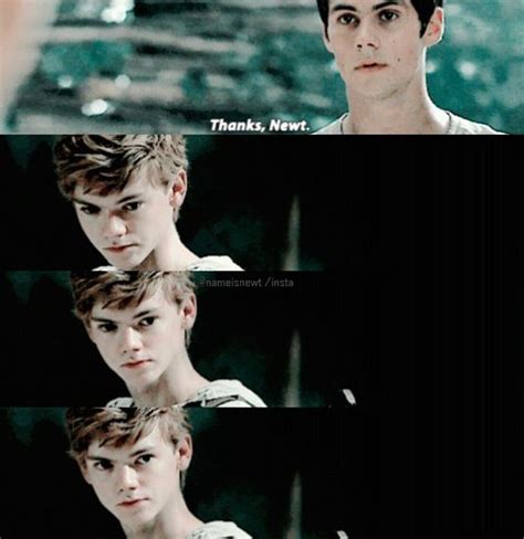68 best images about newtmas on pinterest