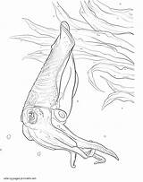 Coloring Sea Pages Animals Ocean Printable Print Animal Sheets Choose Board Eel sketch template