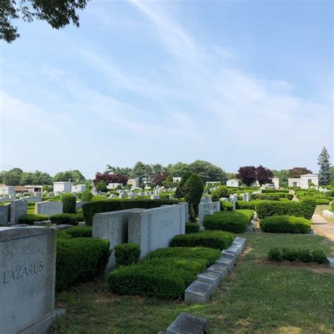 beth david cemetery cemetery