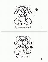 Senses Coloring Pages Five Adults Kids Popular Printable Books Coloringhome sketch template