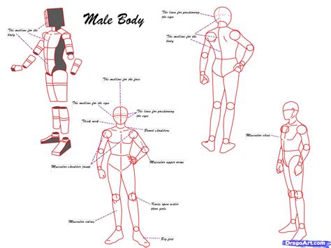 How To Draw Anime Poses Step By Step Anatomy People