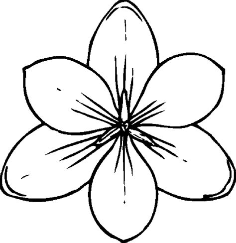 intricate flower coloring pages coloring home