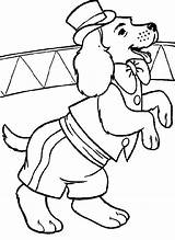 Kleurplaat Kleurplaten Honden Dieren Hond Hunde Colorare Circo Zirkus Chiens Colorat Malvorlage Ausmalbild Mewarnai Caini Planse Coloriages Circ Animasi Entrenados sketch template
