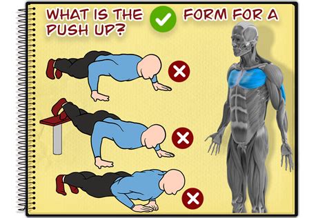 push ups proper form   simple steps graduate fitness