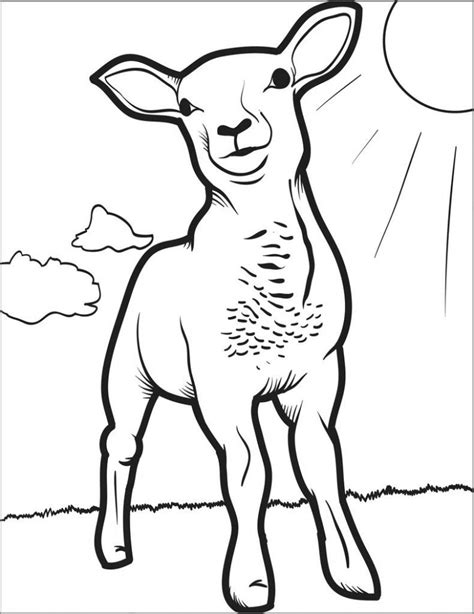 lamb baby coloring page coloringbay