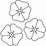Coloring Poppy Library Clipart Flower sketch template
