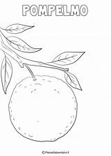 Frutta Invernale Pompelmo Pianetabambini Disegno Pompelmi sketch template