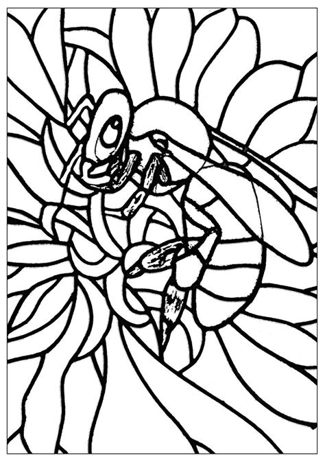pin  insects butterflies coloring pages