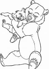 Little Bear Coloring Pages Getdrawings sketch template