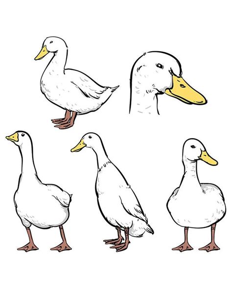 sale duck isolated   white background hand drawn etsy
