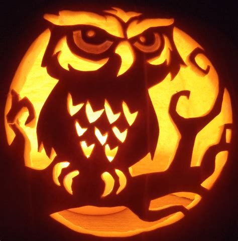 owl  branch owl pumpkin stencil owl pumpkin carving amazing pumpkin