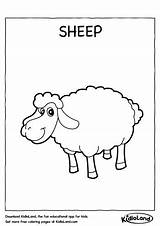 Sheep Worksheets Coloring Worksheet Kidloland Kids Printable Activity sketch template