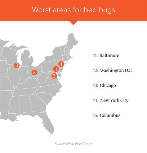 Bed Bugs What Cities Are The Worst