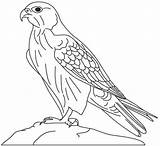 Falcon Coloring Pages Printable صقر Kids Sakr Color Para Alfabeto Hawk árabe Bird Peregrine Artesanía Del Printablecolouringpages Cartoon Animal Saad sketch template