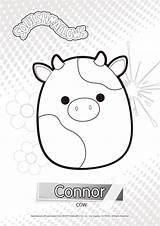 Squishmallows Coloring Pages Connor Print Only Printable Noncommercial Individual Use sketch template