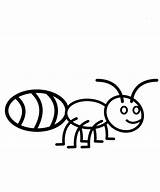Ant Coloring Pages Ants Color Kids Drawing Line Clipart Getdrawings Print Grasshopper Library Popular sketch template