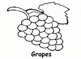 Grape Grapes Coloring Clipart Pages Outline Drawing Raisins Fruits Draw Printable Bunch Color Cliparts Print Preschool Library June Clipartbest Kindergarten sketch template